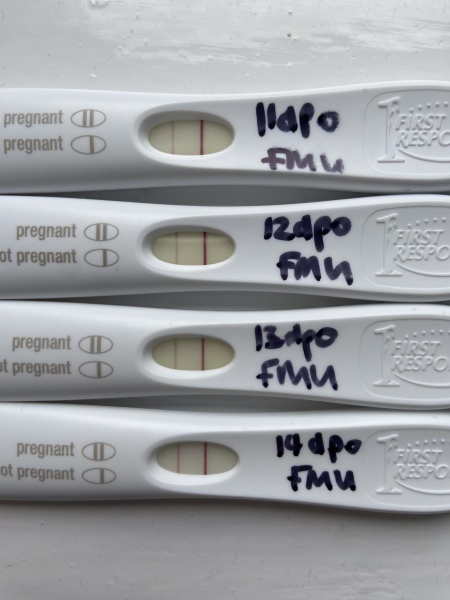 Pregnancy tests not getting any darker.