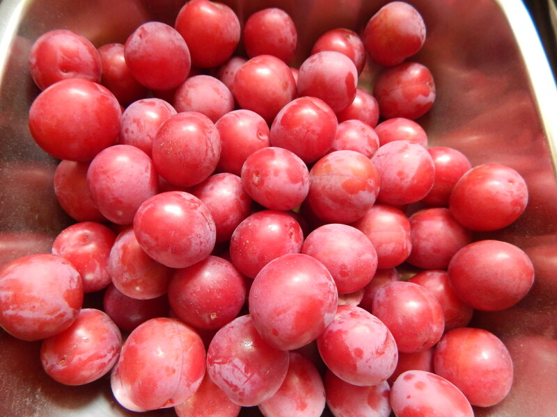 Thread 6 - TalkExiles: "Yup, still round."