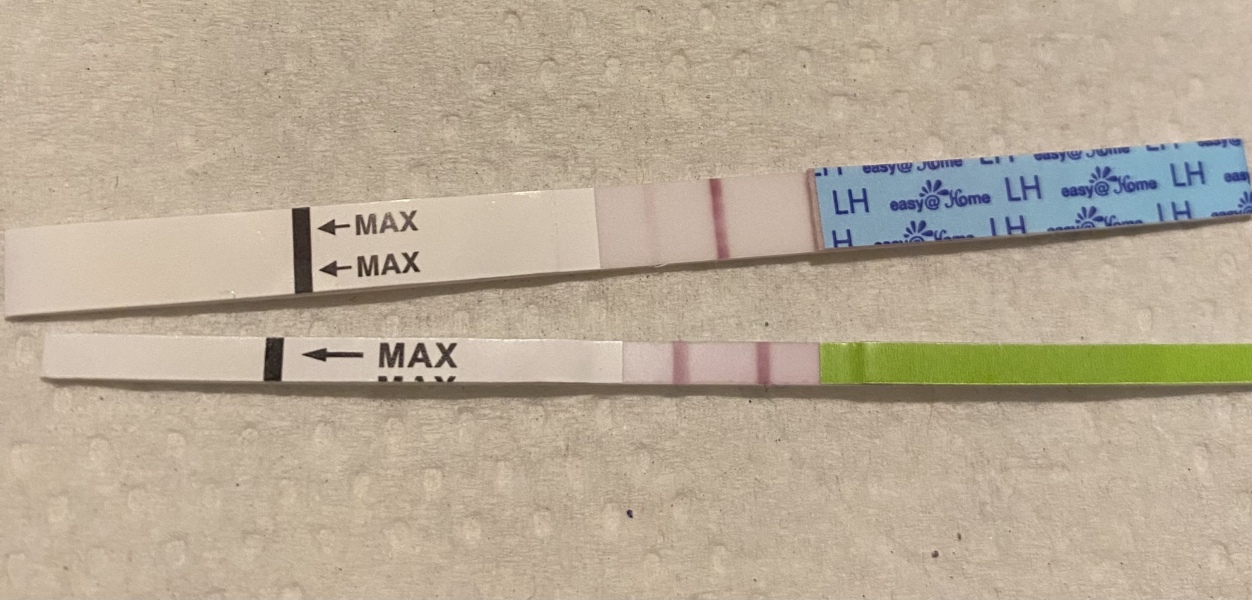 Two Ovulation Tests, two very different readings.
