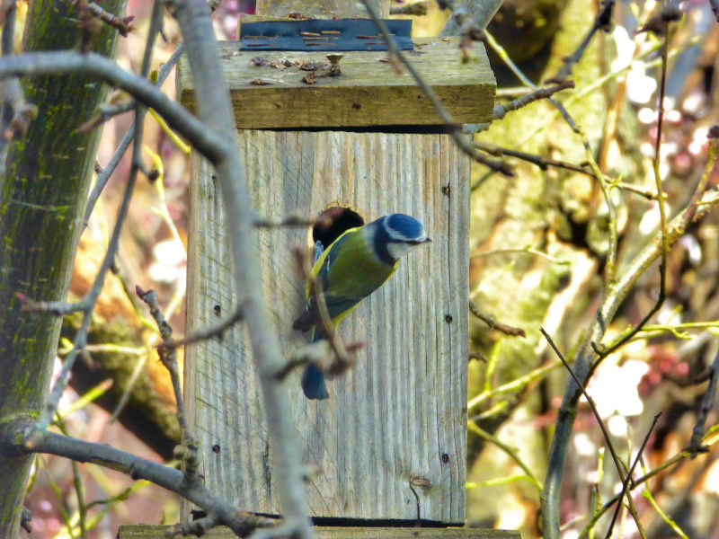 Thread 6 - TalkExiles: "Yup, still round."