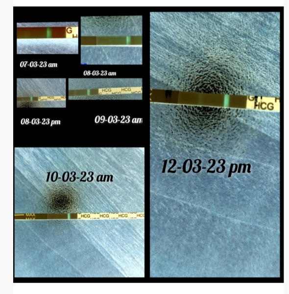 Anyone else TTC #1? Just looking for TTC buddies!