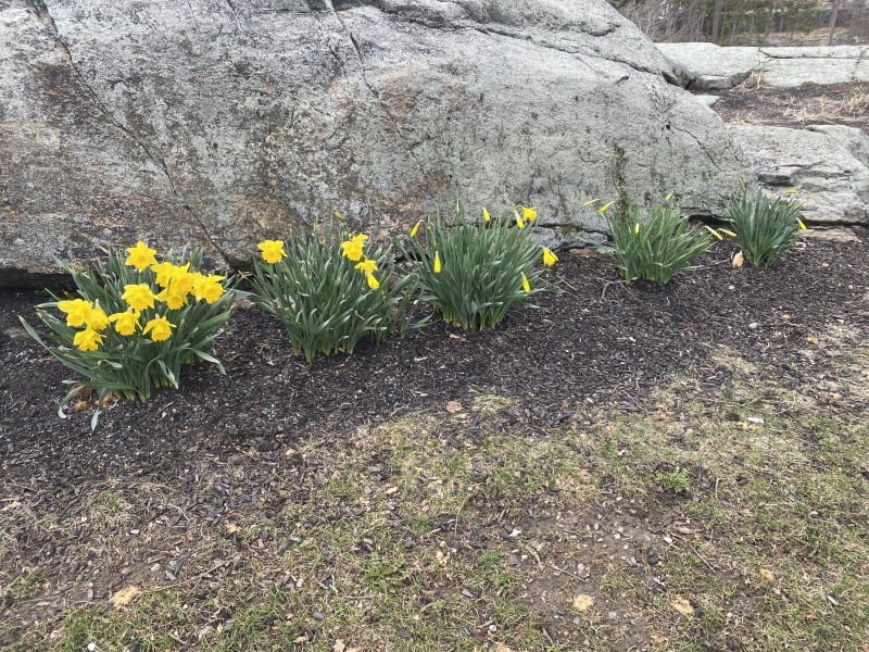 Come and tell me your dull and unexciting news 24: Calmly through the day 