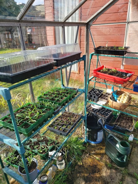 Any Witches Here?- Part 18