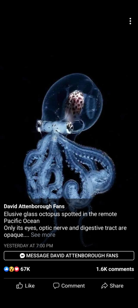 Things that are utterly bloody fascinating