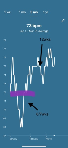 Fitness tracker stats pregnancy 