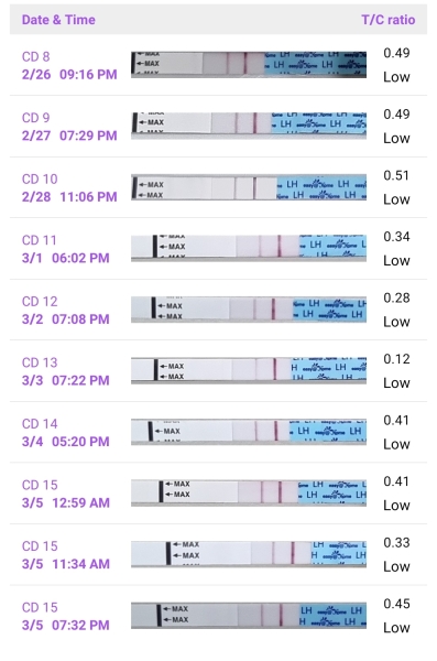 Anyone else TTC #1? Just looking for TTC buddies!