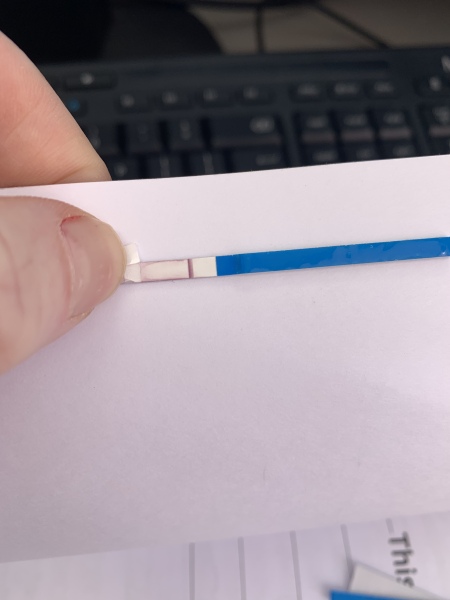 8dpo - let's make a tww club :)