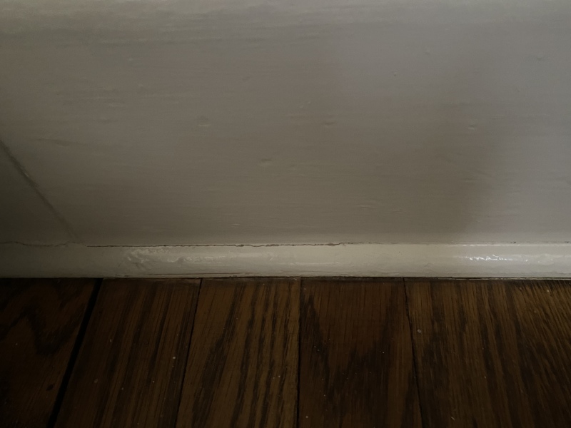 The stunning skirting boards 