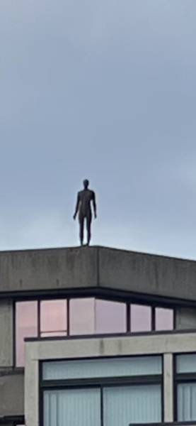 Thread 45 GCSE Covid Cohort - Bunnies bouncing into Spring