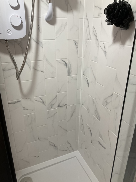 White or pale grey grout? (Pictures)