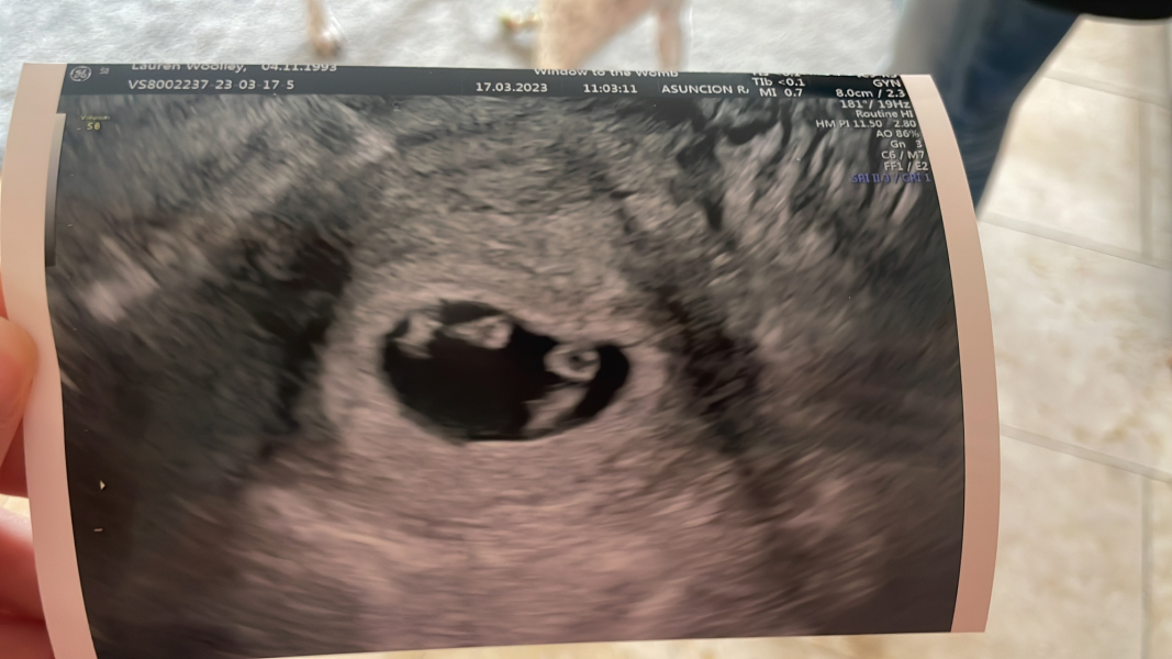Due November 2023 ✨