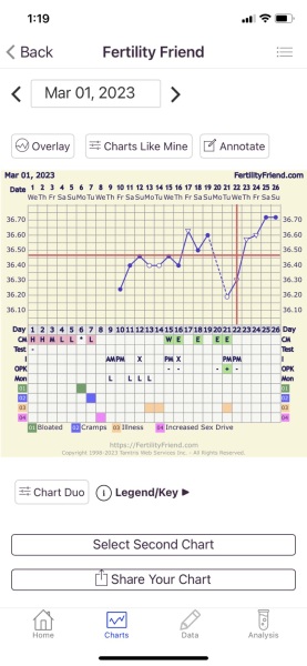 Can anyone decode this crazy cycle?!