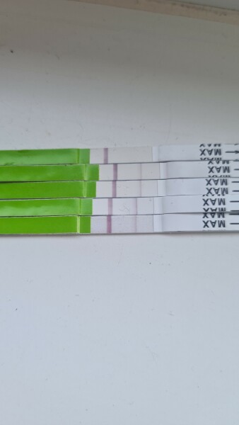 Am I about to ovulate? 