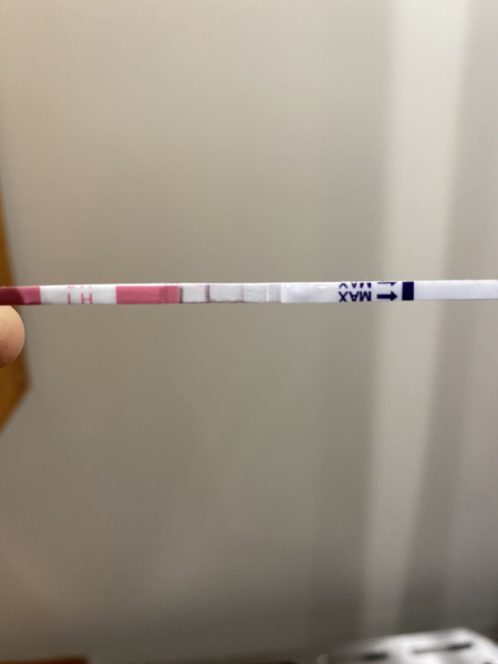 Positive LH strip 12DPO
