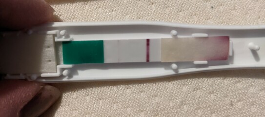 10dpo.evap or faint positive?