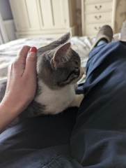 Kitten will only sleep on me...