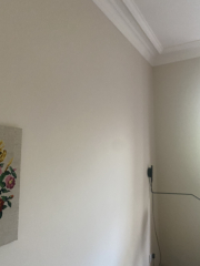 Plaster coloured paint