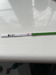 8dpo