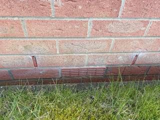 What would you plant here?