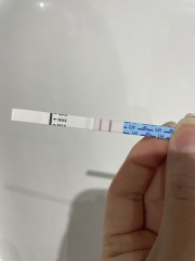 Positive opk 6dpo