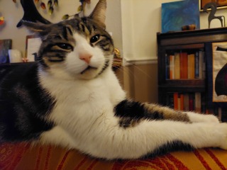 Thread 5 - TalkExiles: "The Planet Goes On Being Round"