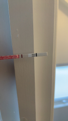 8dpo - let's make a tww club :)