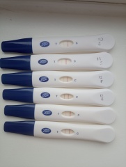Due December 2023