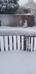 This snow is inadequate 