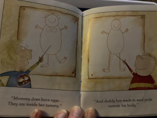 How to teach children how babies are made without mentioning men and women...