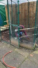 Stinky, horrible, waterlogged chicken run - advice / opinions please
