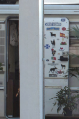 To be upset that toddlers and babies are being subjected to this.