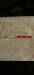 8dpo Vvfl?