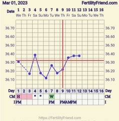 Early ovulation? 