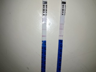 Is this a positive ovulation test? 
