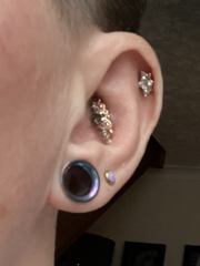 Show me your "curated ears"