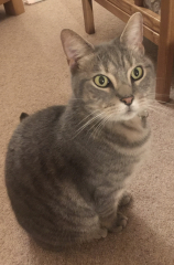 Mithril would like some sympathy please.