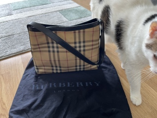 If you love bags- show us your yours! 