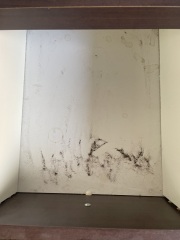Neighbour possibly stole brush from my apartment courtyard