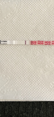 Diarrhea as an early pregnancy symptom?