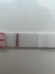 TWW - Testing Around 1st March 