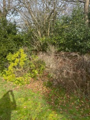 Need help…I want gardening to be something I love 