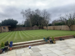 Help me plan my garden