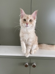 Cancer Support thread 86 - Stay Positive 