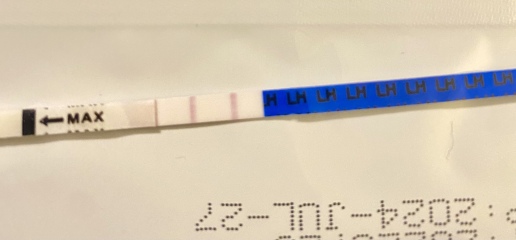 Ovulation after MAP