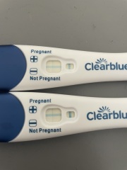 Faint pregnancy test at 6 weeks
