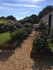 Metal raised beds?