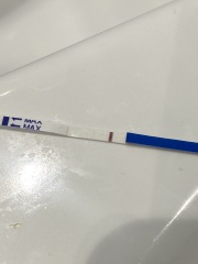 Am I seeing lines?