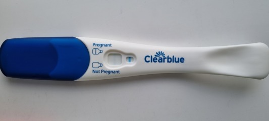 8dpo