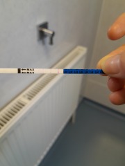 Is this a positive ovulation test? 