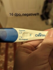 Pregnancy tests